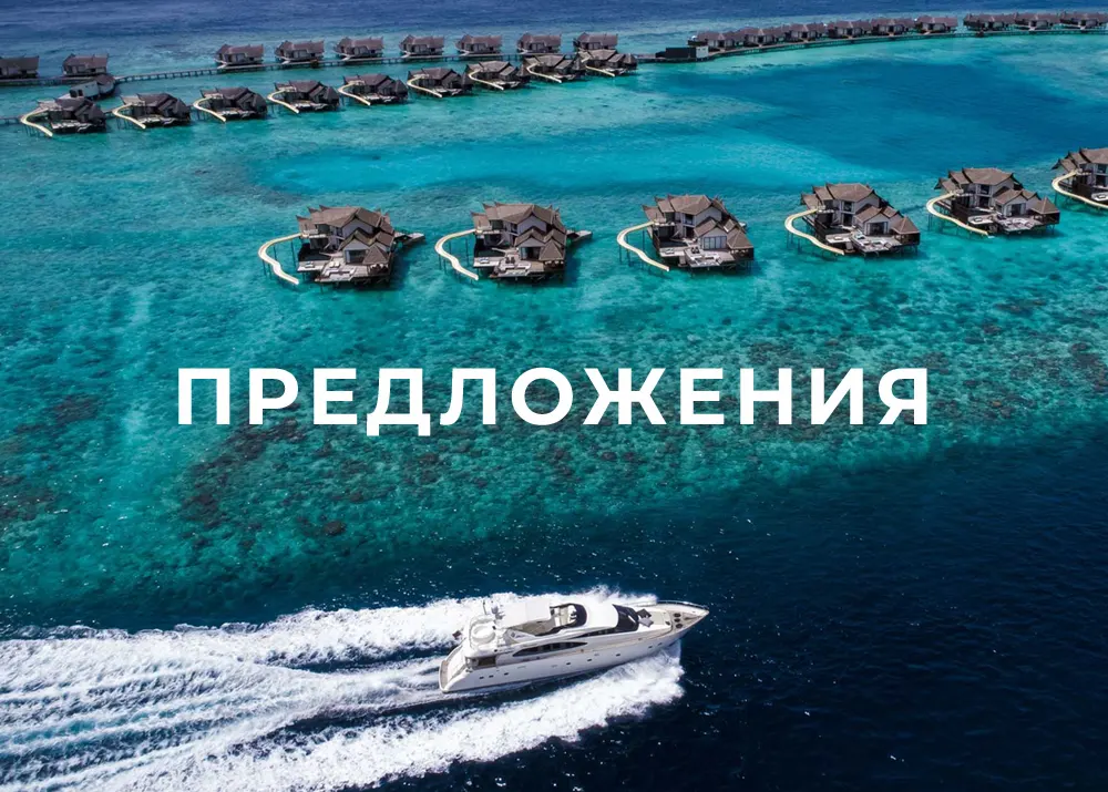 Актуальные предложения